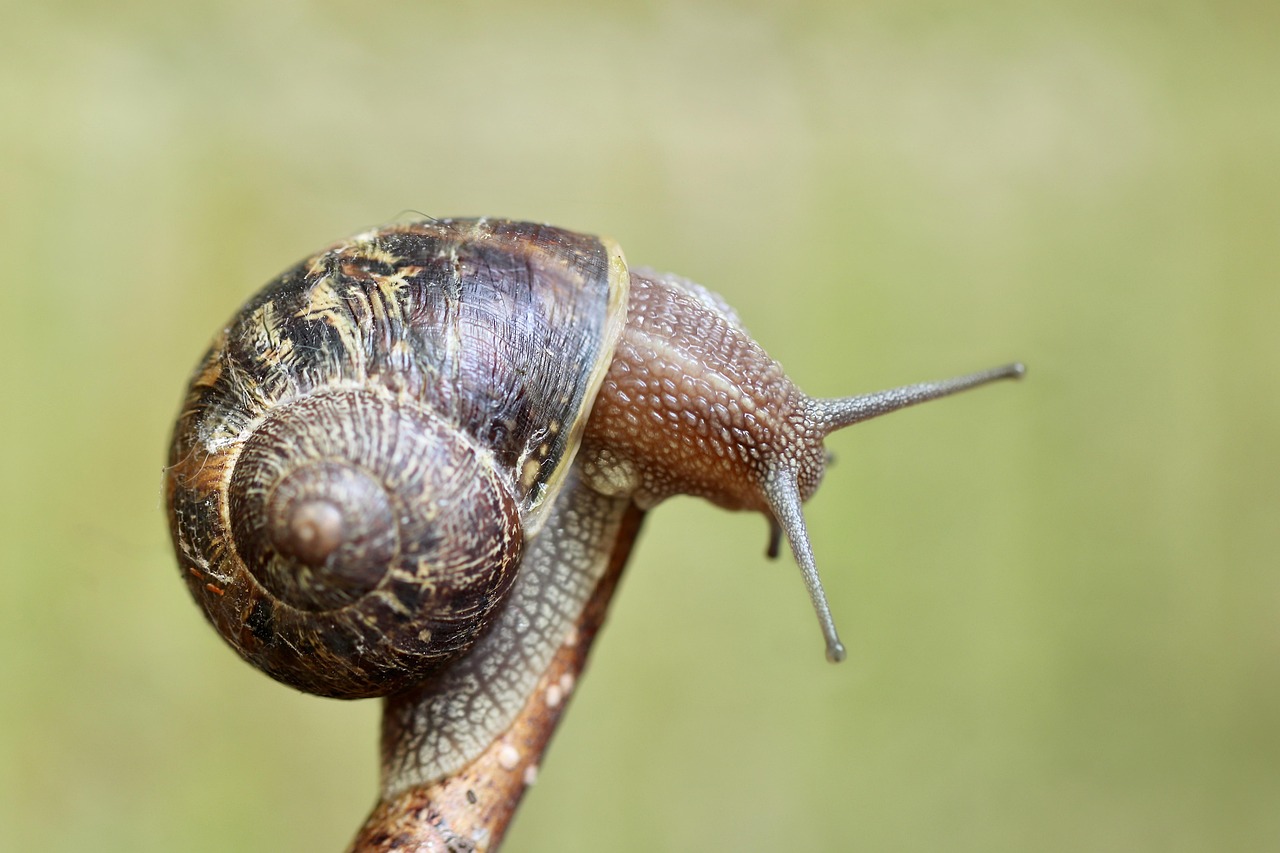 Photo by Nennieinszweidrei